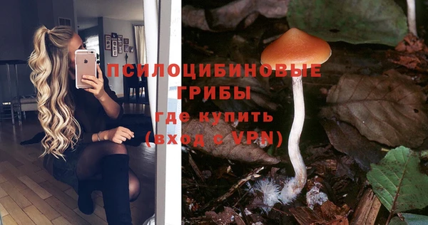 не бодяженный Аркадак