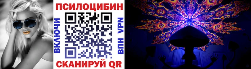 OMG зеркало  Боровск  Псилоцибиновые грибы Psilocybe 
